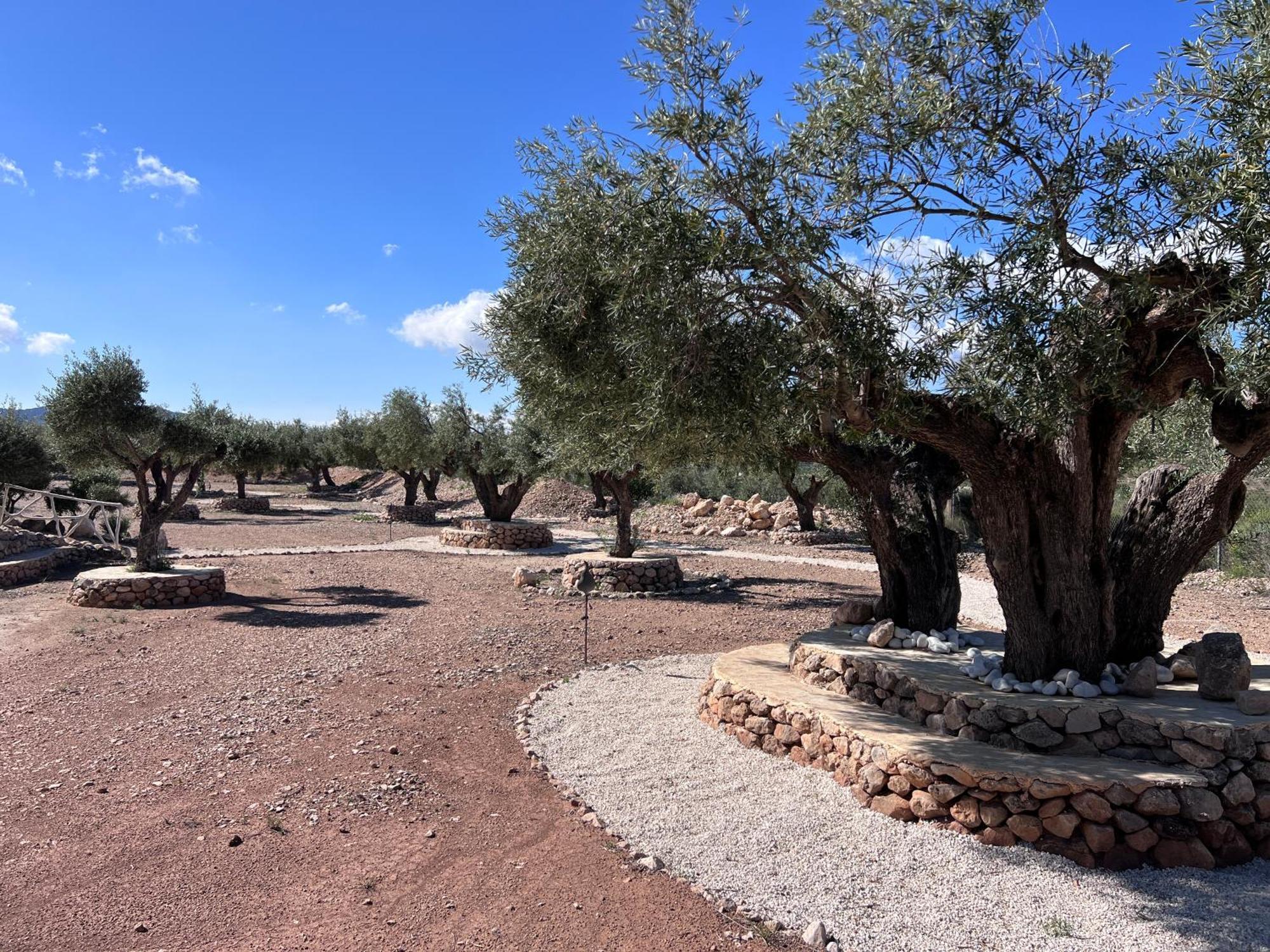Villa Casa Algezar Hondón de las Nieves Esterno foto